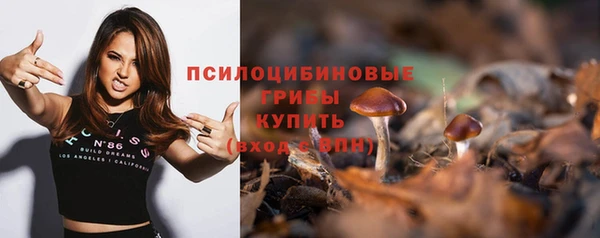 сатива Армянск