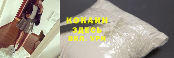 сатива Армянск