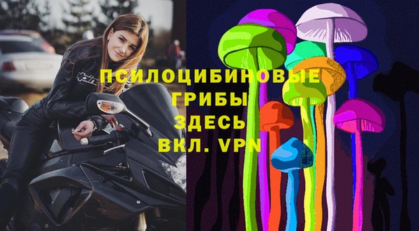 сатива Армянск